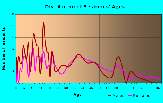 Jonestown, Pennsylvania Age and Sex of Residents