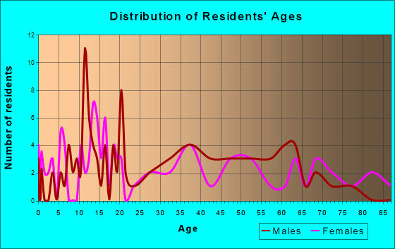 New Boston-Morea, Pennsylvania Age and Sex of Residents