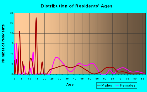 Renningers, Pennsylvania Age and Sex of Residents