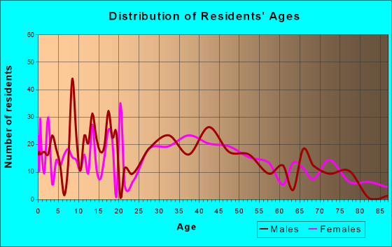 Womelsdorf, Pennsylvania Age and Sex of Residents