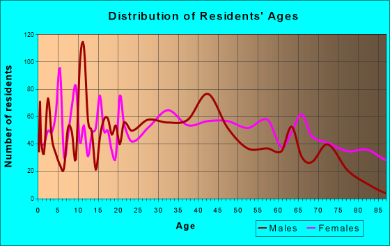 Manchester, Tennessee Age and Sex of Residents