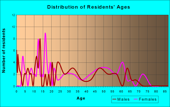 Bellevue, Texas Age and Sex of Residents