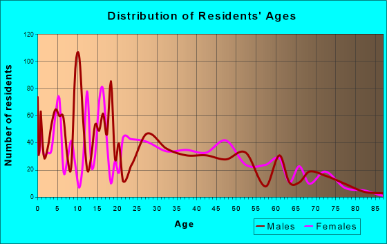 Canutillo, Texas Age and Sex of Residents