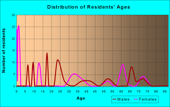 El Camino Angosto, Texas Age and Sex of Residents