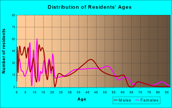 Four Corners, Texas Age and Sex of Residents