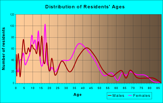 Horizon City, Texas Age and Sex of Residents