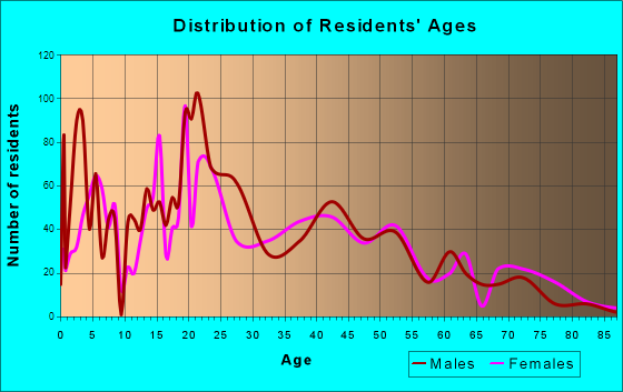 Lacy-Lakeview, Texas Age and Sex of Residents