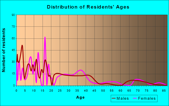 La Puerta, Texas Age and Sex of Residents