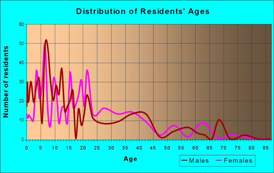 Laredo Ranchettes, Texas Age and Sex of Residents