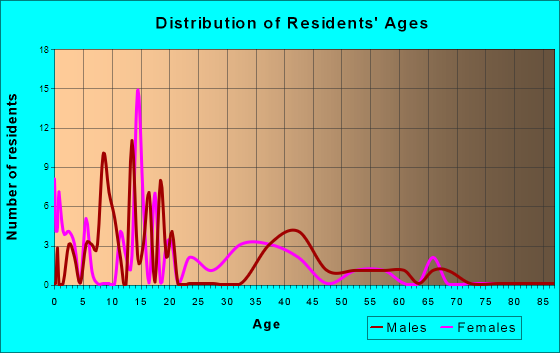 New Home, Texas Age and Sex of Residents