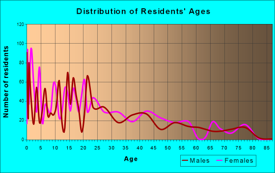 Palmview, Texas Age and Sex of Residents