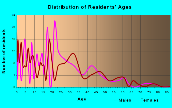 Plum Grove, Texas Age and Sex of Residents