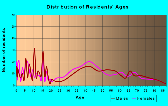 Rancho Viejo, Texas Age and Sex of Residents