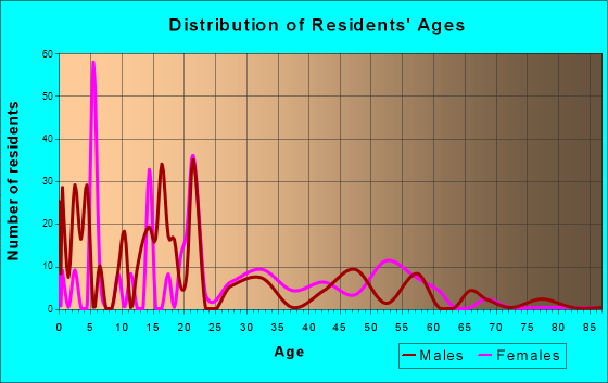 Reid Hope King, Texas Age and Sex of Residents