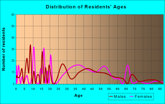 Rustburg, Virginia Age and Sex of Residents