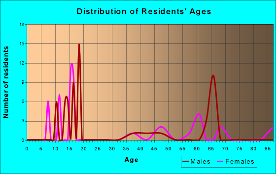 Custer, Washington Age and Sex of Residents