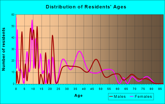 Rochester, Washington Age and Sex of Residents