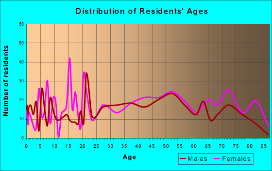 Wellsburg, West Virginia Age and Sex of Residents