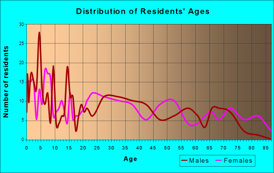 Bridgeville, Delaware Age and Sex of Residents