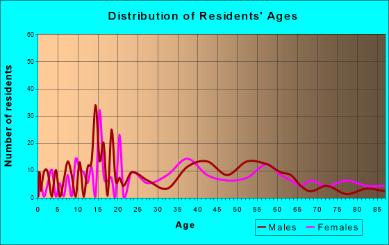 Bagdad, Florida Age and Sex of Residents