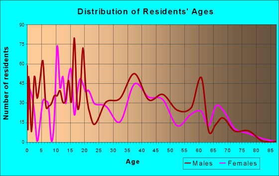 Bithlo, Florida Age and Sex of Residents