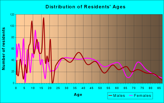 Fort Meade, Florida Age and Sex of Residents