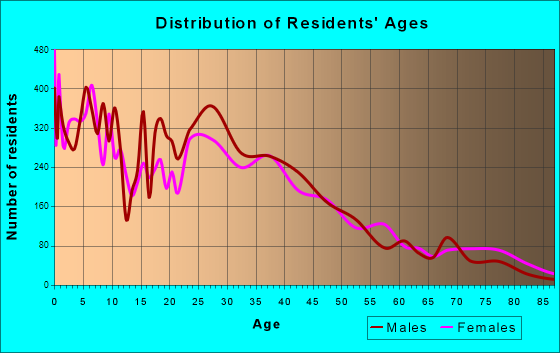 Homestead, Florida Age and Sex of Residents