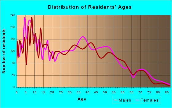 Palm River-Clair Mel, Florida Age and Sex of Residents
