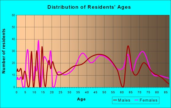Port Richey, Florida Age and Sex of Residents