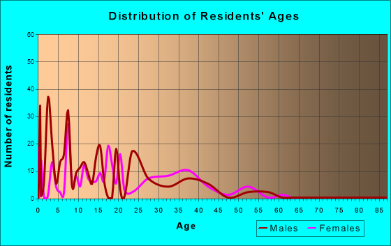 Stacey Street, Florida Age and Sex of Residents
