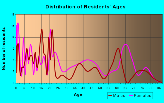 Webster, Florida Age and Sex of Residents
