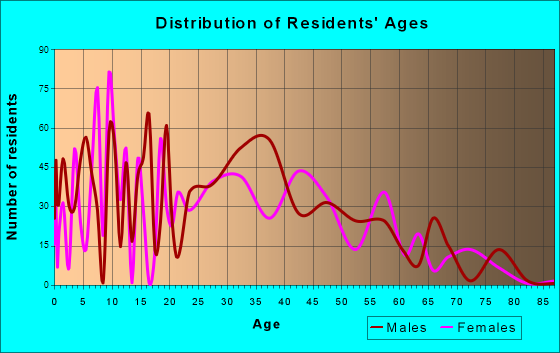 Willow Oak, Florida Age and Sex of Residents