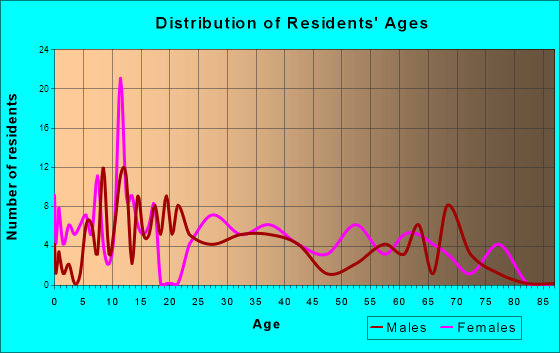 Homeland, Georgia Age and Sex of Residents