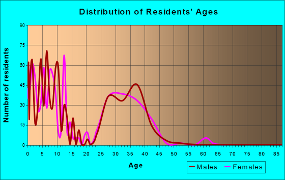 Iroquois Point, Hawaii Age and Sex of Residents
