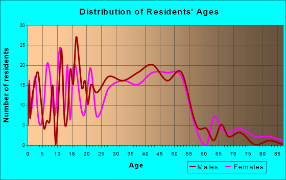 Bellevue, Idaho Age and Sex of Residents