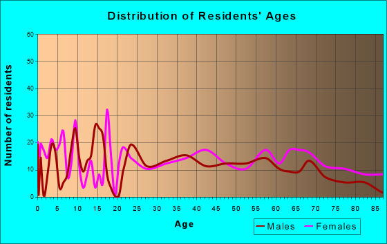 Arthur, Illinois Age and Sex of Residents