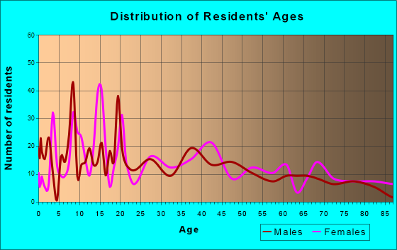 Bridgeport, Illinois Age and Sex of Residents