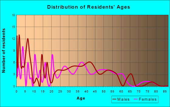 New Millford, Illinois Age and Sex of Residents