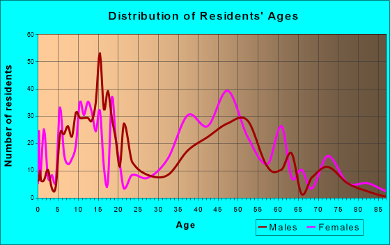 Rochester, Illinois Age and Sex of Residents