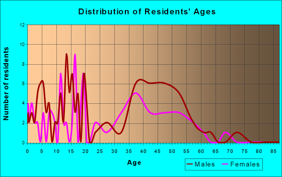 King Salmon, Alaska Age and Sex of Residents