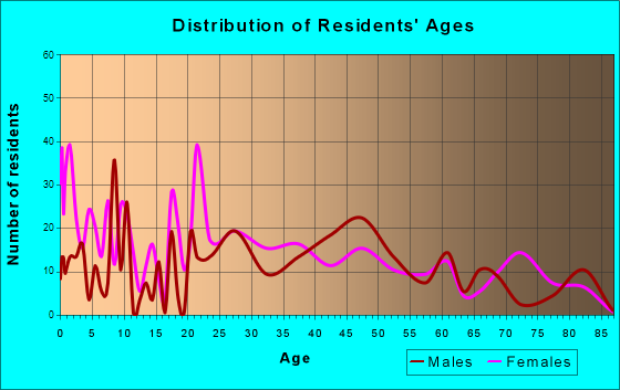 New Chicago, Indiana Age and Sex of Residents