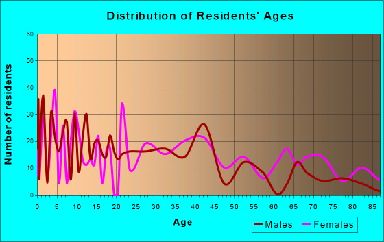 Spencer, Indiana Age and Sex of Residents