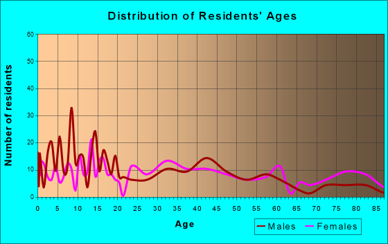 Pleasantville, Iowa Age and Sex of Residents