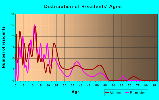 Stebbins, Alaska Age and Sex of Residents