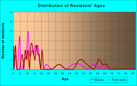 White Mountain, Alaska Age and Sex of Residents