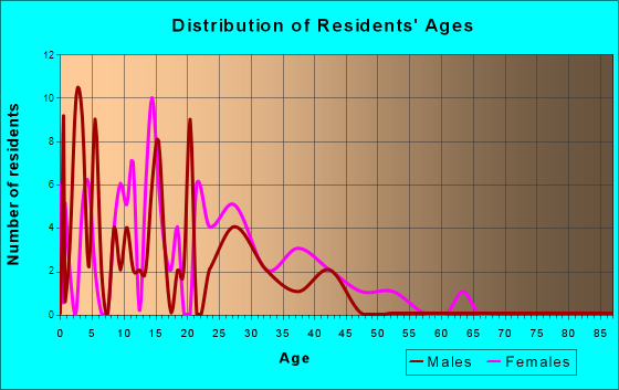 Arizona Village, Arizona Age and Sex of Residents