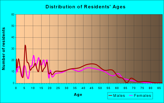 Bagdad, Arizona Age and Sex of Residents