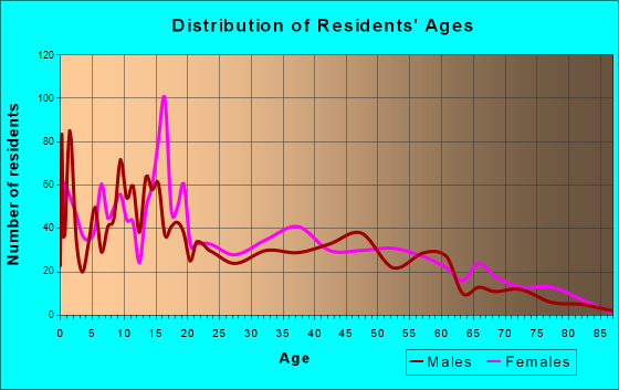 Holbrook, Arizona Age and Sex of Residents