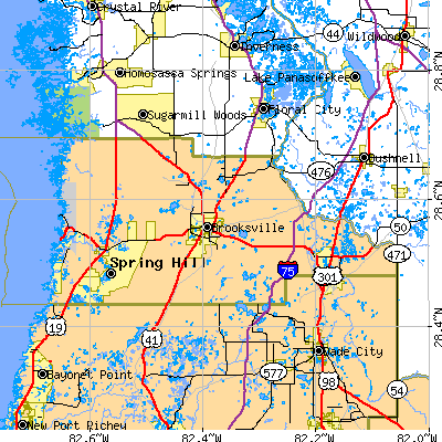 Hernando County close-up map
