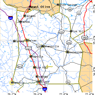 Duplin County close-up map